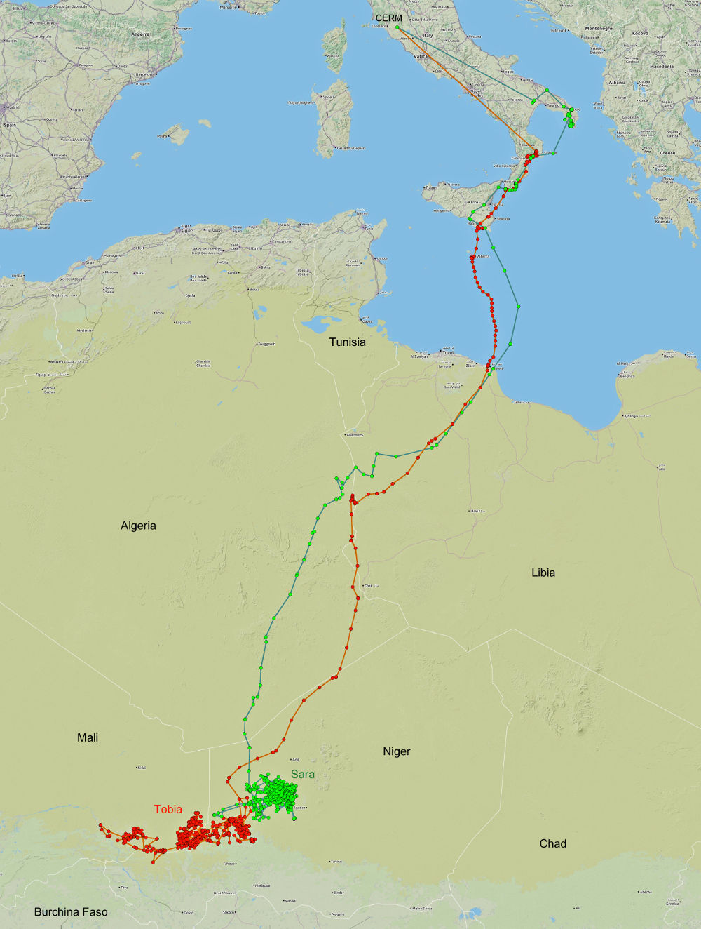 La localizzazione aggiornata al 28 dicembre 2016 di Sara e Tobia in Africa.